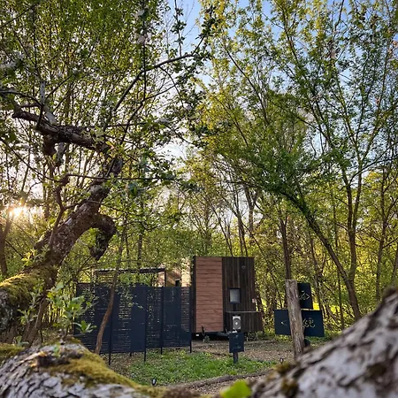 Almasglamp * Zebegény